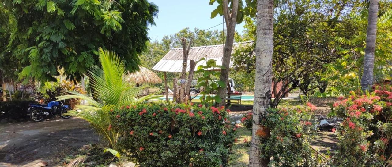 Cabinas Alemar Пакера Екстер'єр фото