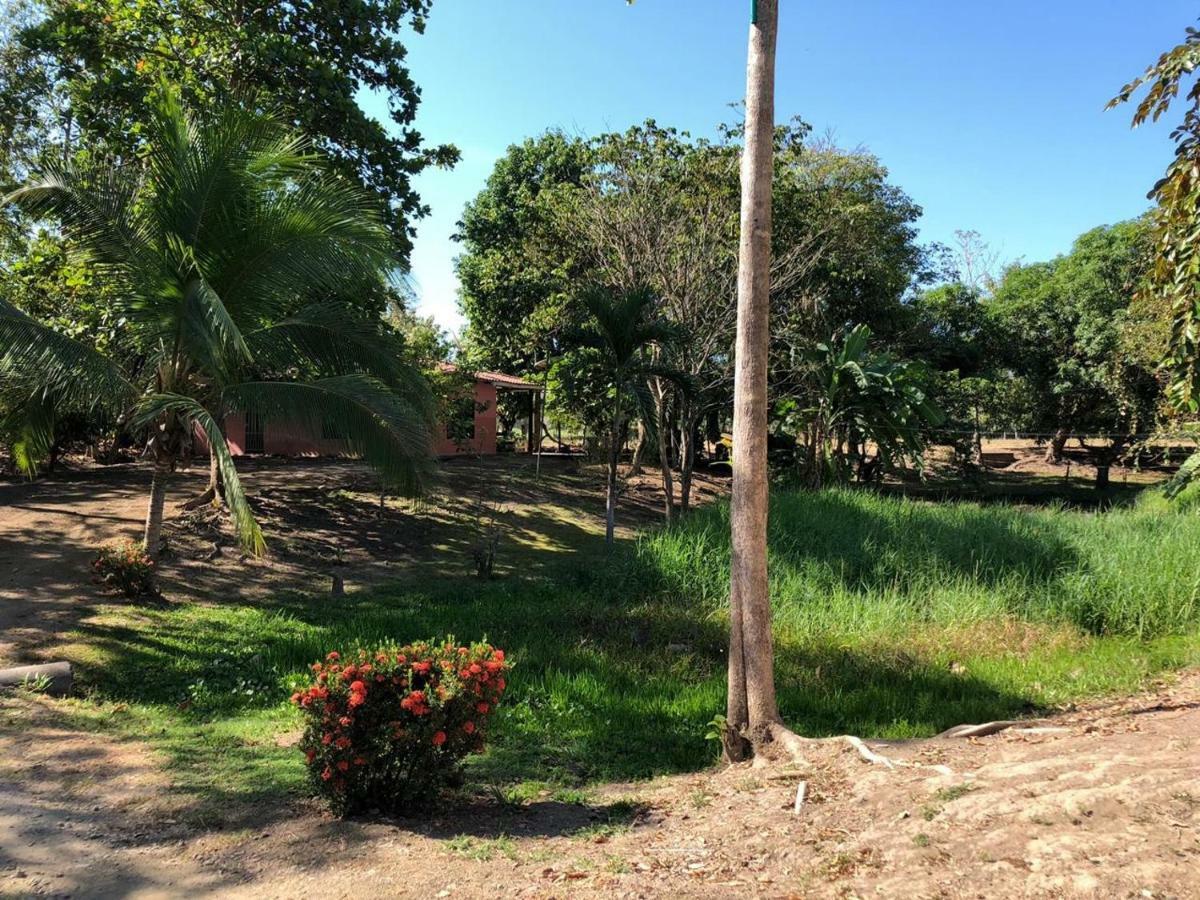 Cabinas Alemar Пакера Екстер'єр фото